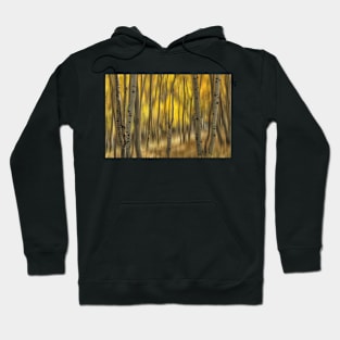 Fall Abstract Hoodie